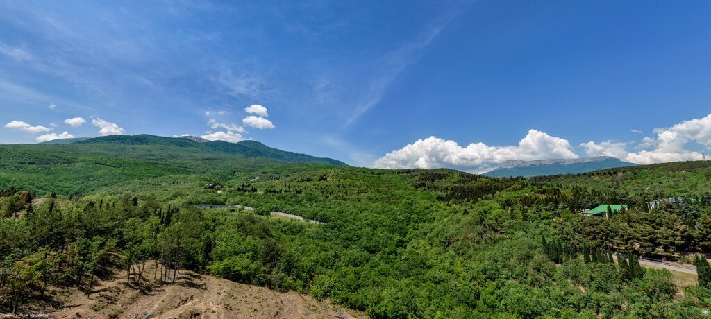 квартира г Алушта с Виноградное ул Сусловой 3 фото 3