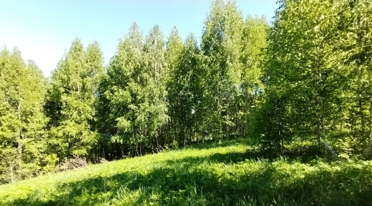 земля г Горно-Алтайск снт Электросигнал фото 8