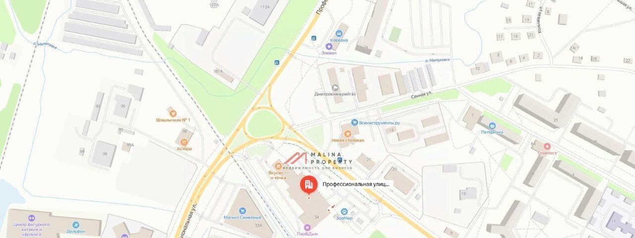 торговое помещение г Дмитров ул Профессиональная 34 фото 5