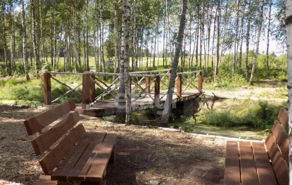 земля г Клин 55 км, ТСН Эколуга, Новопетровское, Ленинградское шоссе фото 2