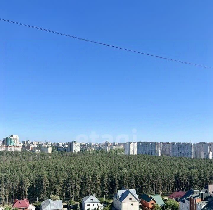 квартира г Воронеж р-н Коминтерновский ул Шукшина 23 фото 18