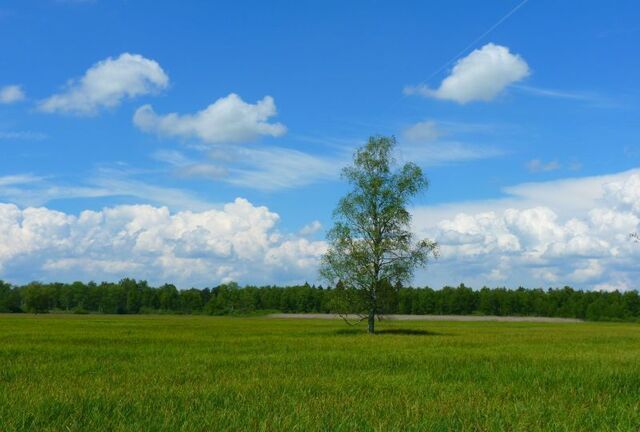 земля Белореченское городское поселение, 104, садовое товарищество Строитель фото