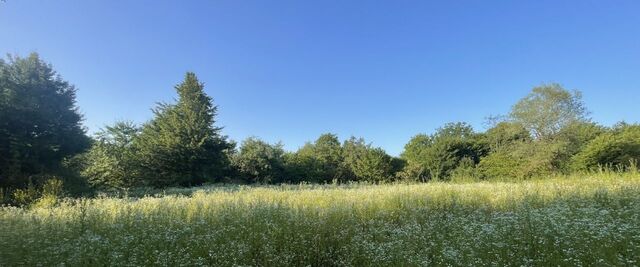 садоводческое товарищество, Пригородный район фото