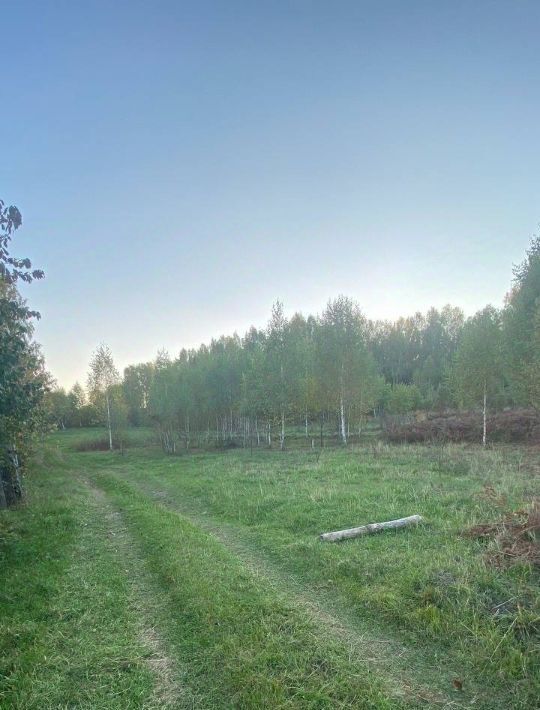 земля г Кировград п Нейво-Рудянка ул Некрасова Кировградский муниципальный округ фото 3