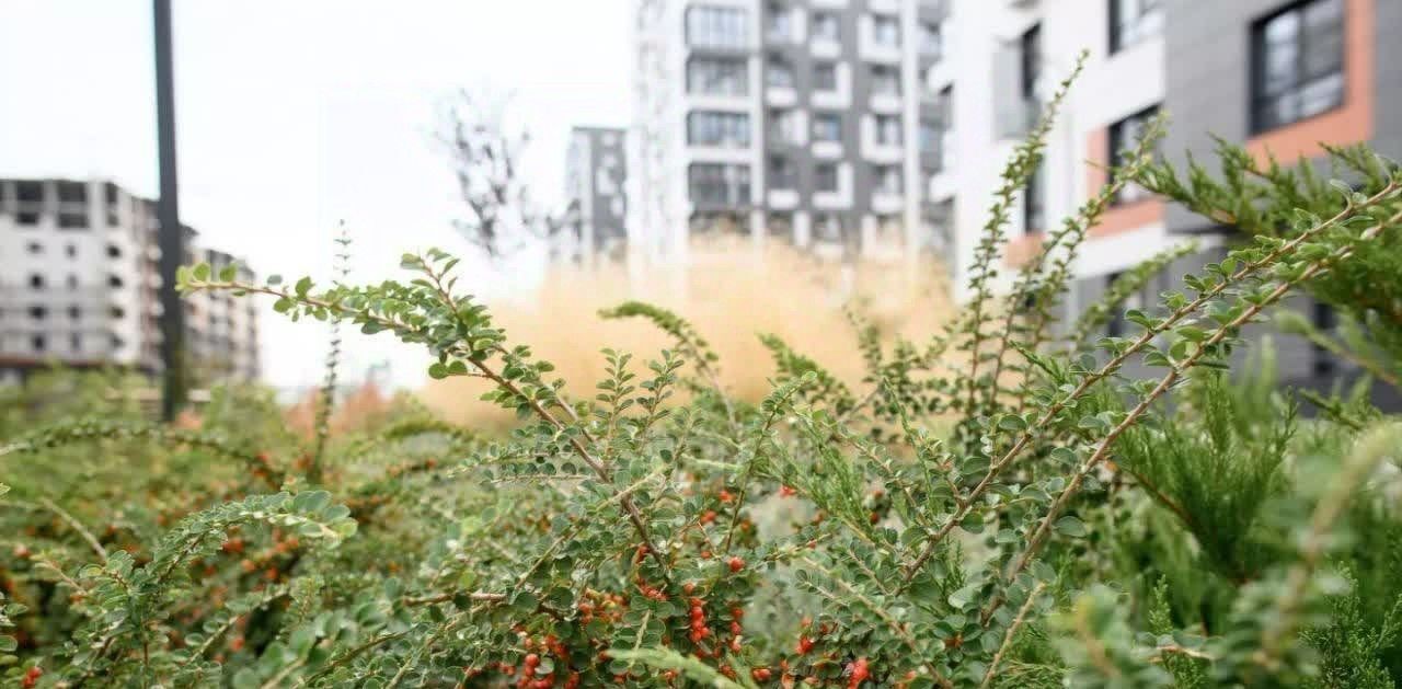 квартира г Батайск ул Ушинского 29к/3 фото 5