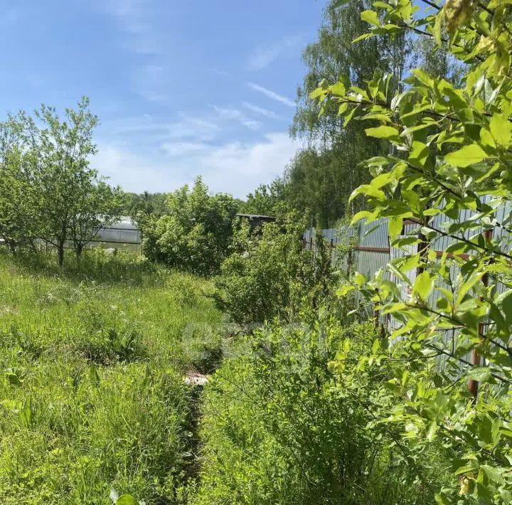 земля г Коломна Алиса СНТ, 23 фото 12