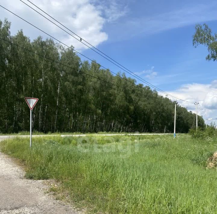 земля г Коломна Алиса СНТ, 23 фото 20