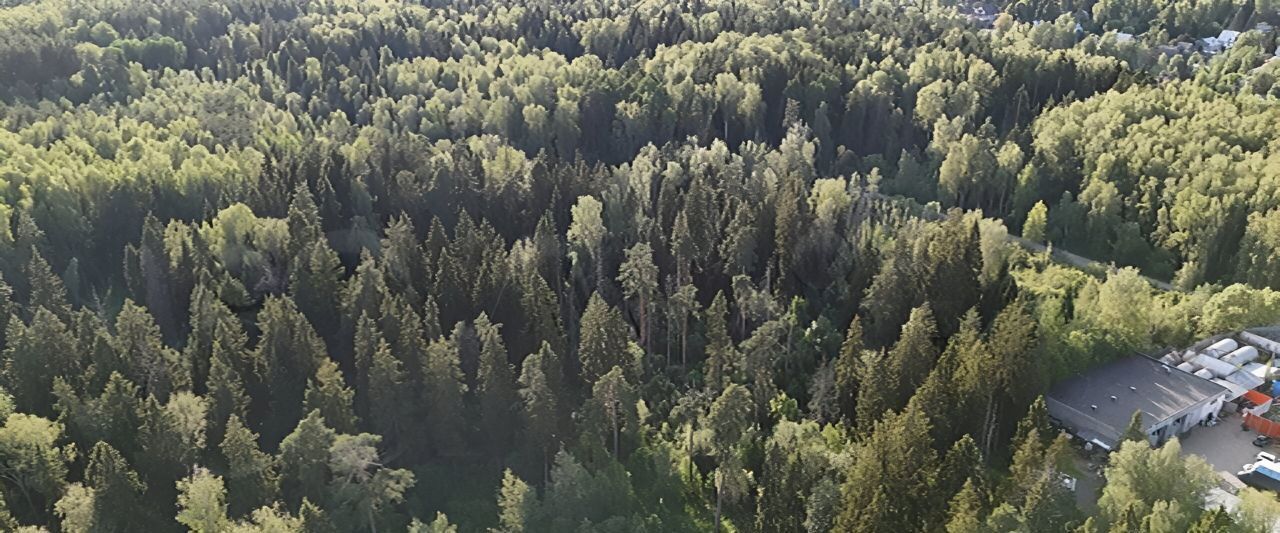 офис г Пушкино проезд 1-й Лермонтовский 2 фото 2