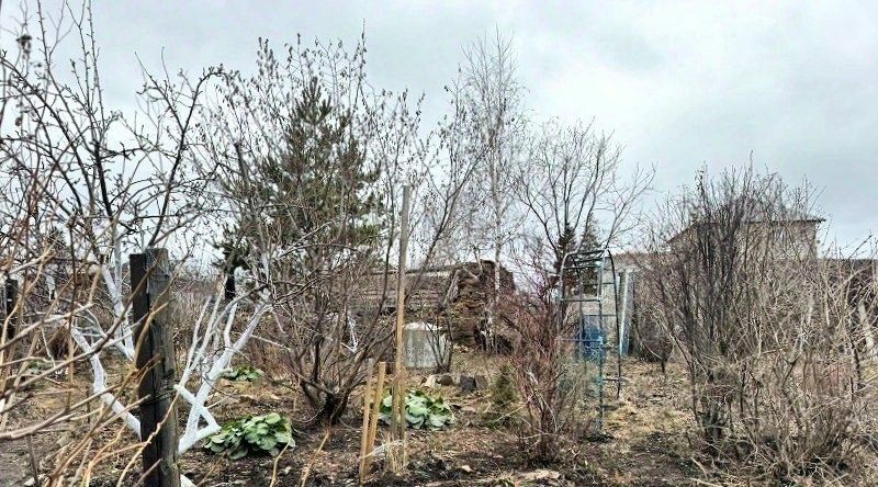 дом р-н Каслинский г Касли ул Розы Люксембург Каслинское городское поселение фото 8