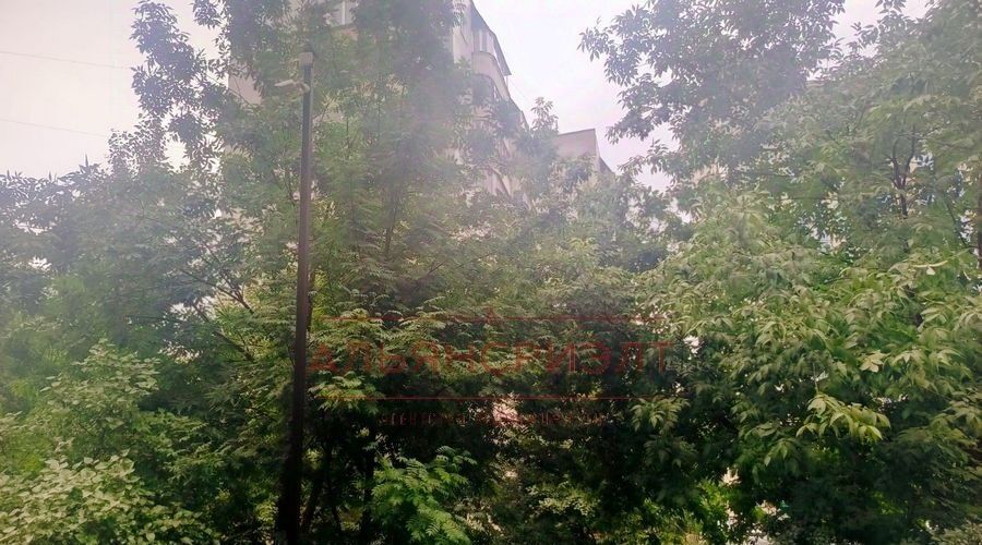 квартира г Новосибирск Золотая Нива ул Бориса Богаткова 192/3 фото 50