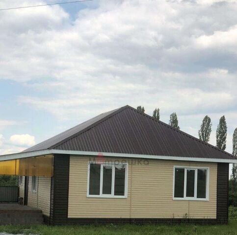 с Подкопаевка Погореловское с/пос фото