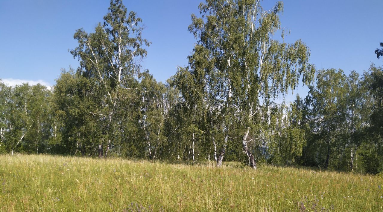 офис г Октябрьский фото 1