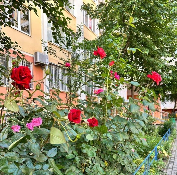 квартира г Краснодар р-н Прикубанский ул Совхозная фото 15