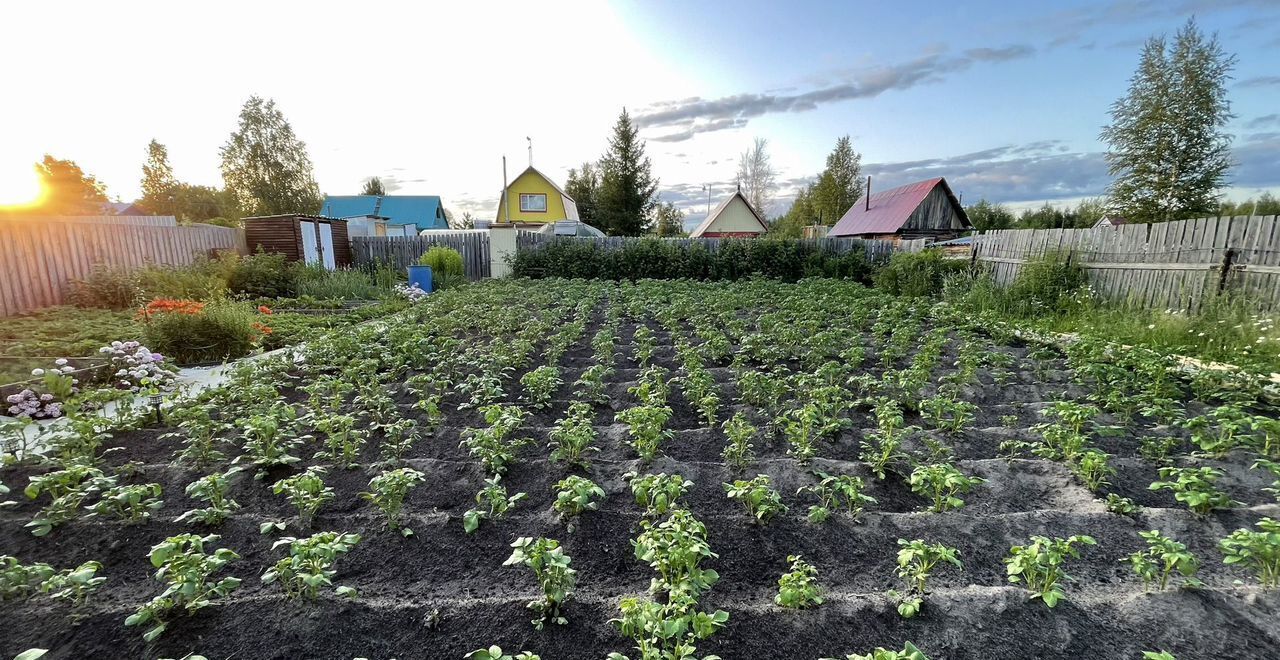 дом г Нижневартовск потребительский садово-огороднический кооператив Досуг, Абрикосовый пер., 69, Тюменская обл. фото 13