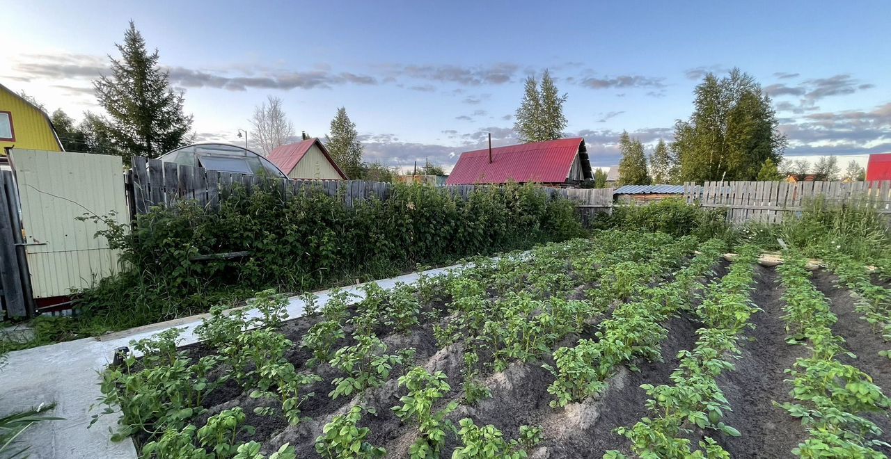 дом г Нижневартовск потребительский садово-огороднический кооператив Досуг, Абрикосовый пер., 69, Тюменская обл. фото 16