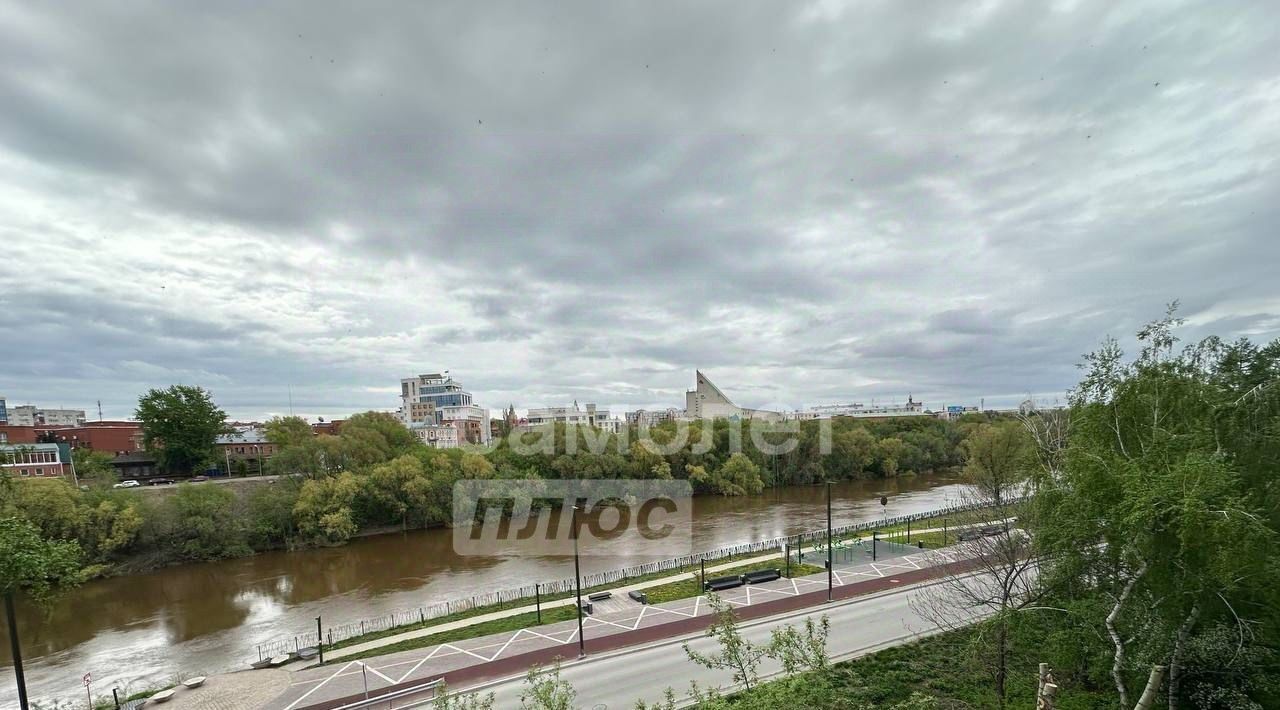 квартира г Омск р-н Центральный ул Чехова 3 Центральный АО фото 9