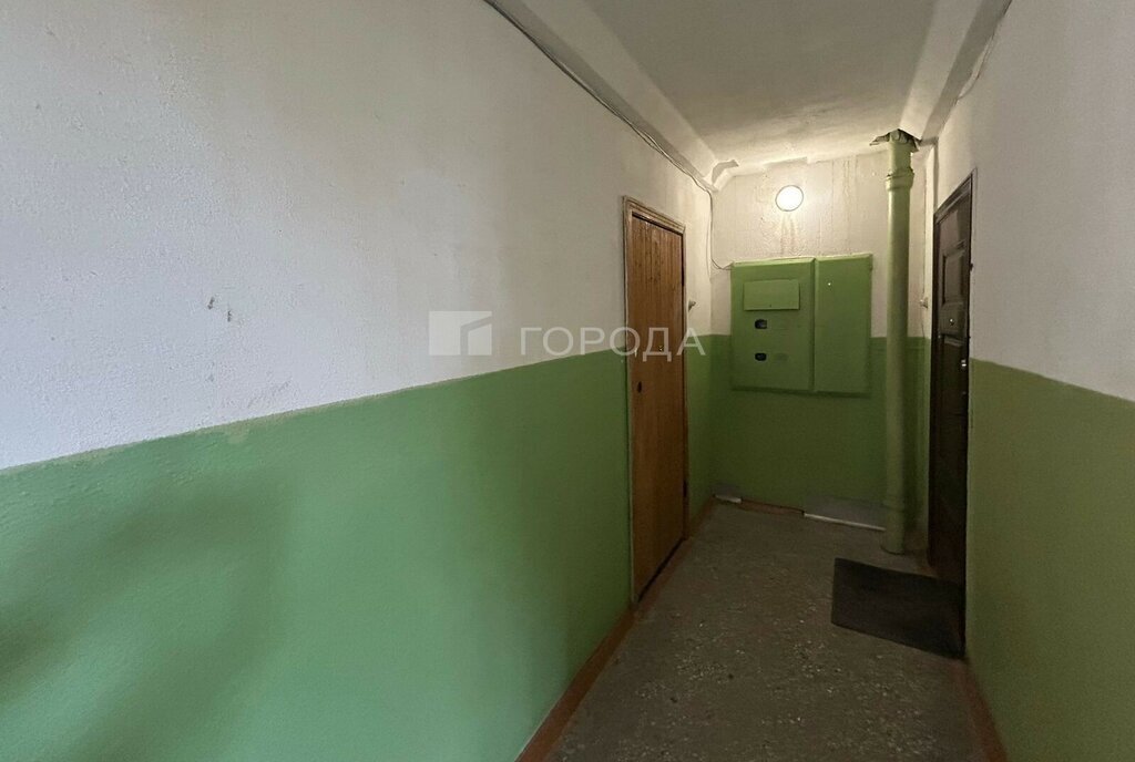 квартира г Новосибирск р-н Дзержинский Берёзовая роща ул Фрунзе 59 фото 11