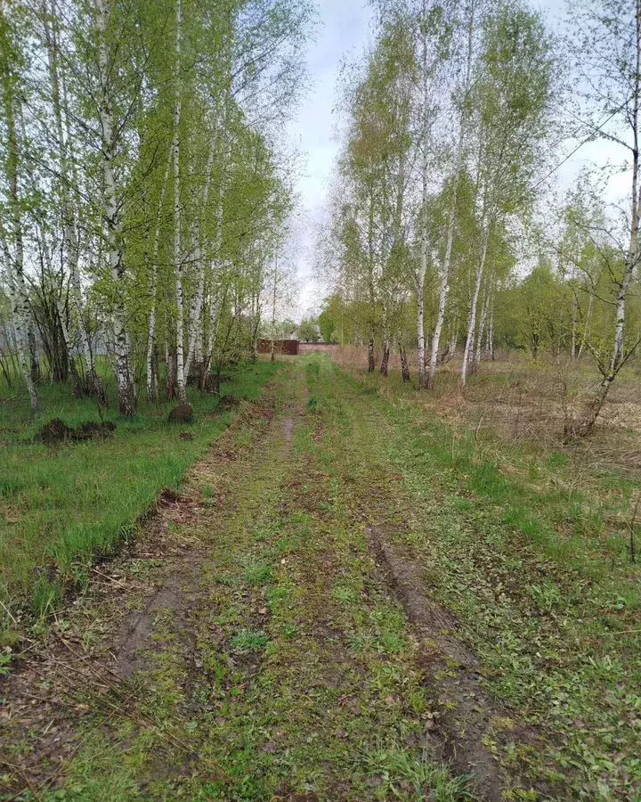 земля г Орел р-н Северный ул Дуговая 105 фото 6