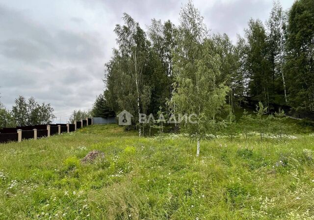 ул Рябиновая Трасса Сортавала, 2 км, Бугровское городское поселение, Санкт-Петербург фото