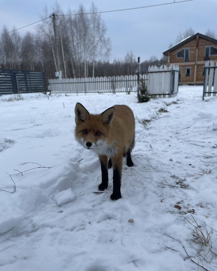 дом р-н Городецкий г Городец д. Вашуриха, 55А фото 17