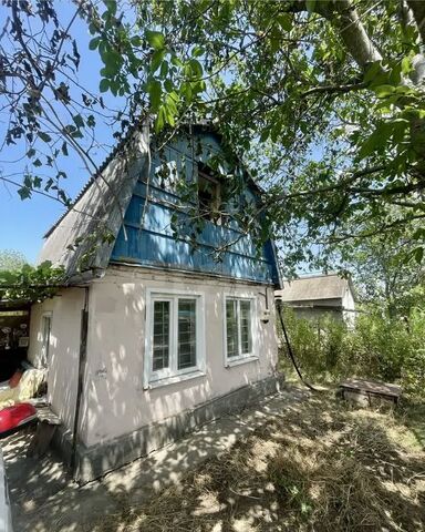 п Широчанка снт Дружба Широчанка фото