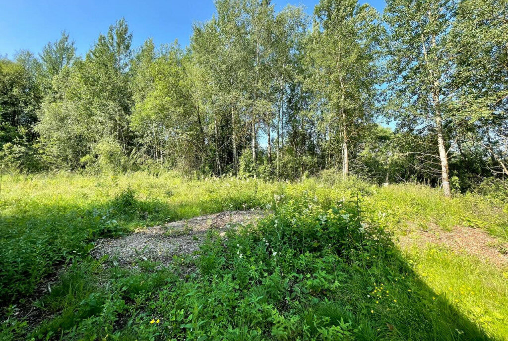 земля г Истра квартал 0070205 фото 6