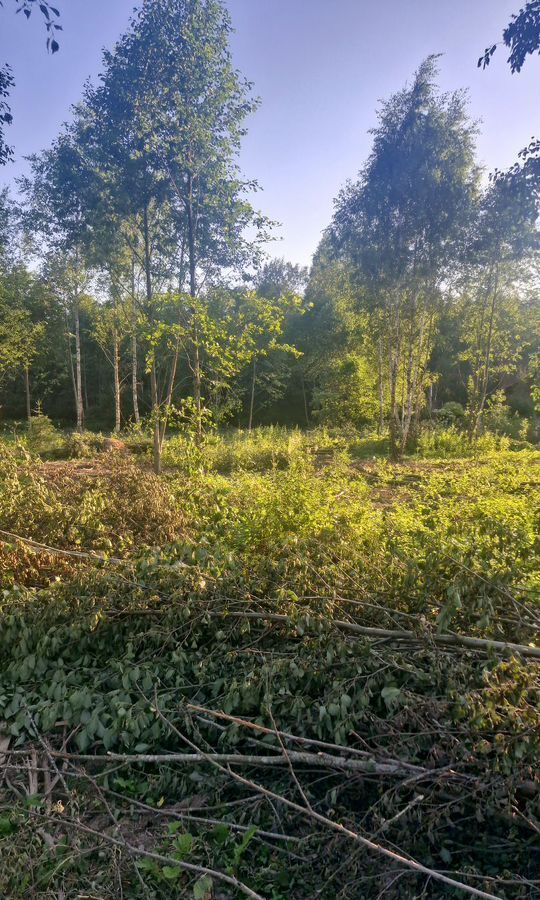 земля городской округ Наро-Фоминский г Апрелевка 27 км, д. Першино, Киевское шоссе фото 3