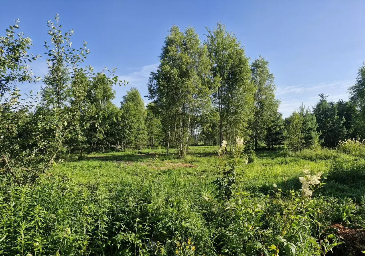 земля городской округ Наро-Фоминский г Апрелевка 27 км, д. Першино, Киевское шоссе фото 3