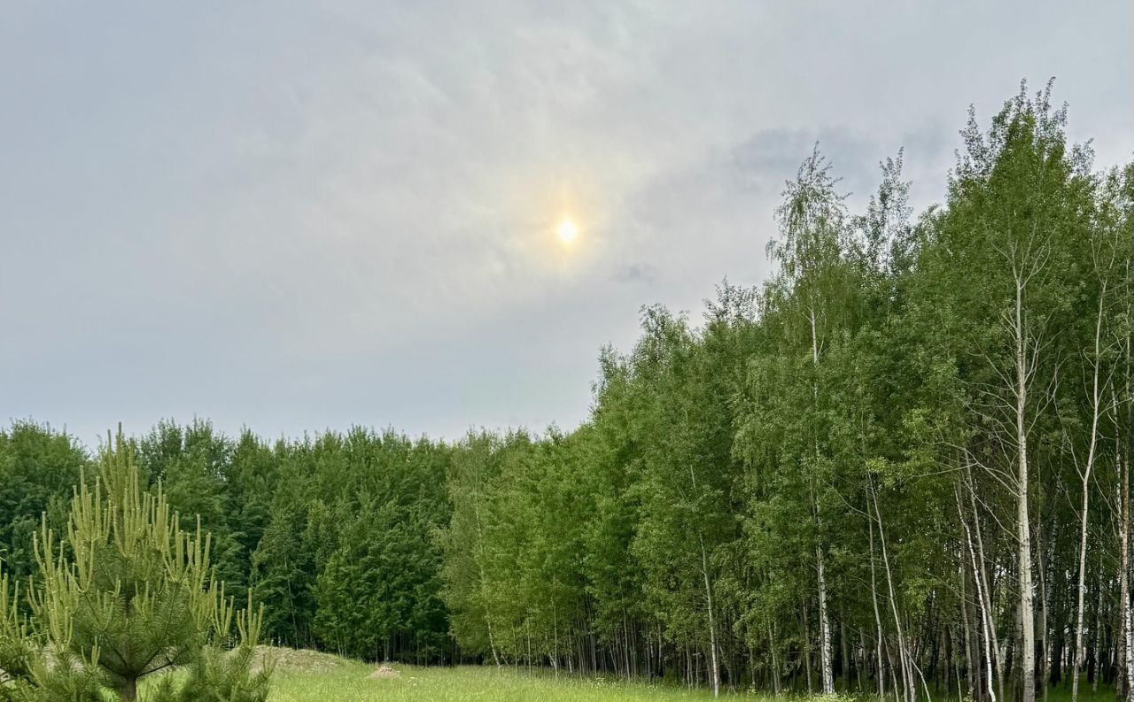 земля г Истра Вижн кп фото 4