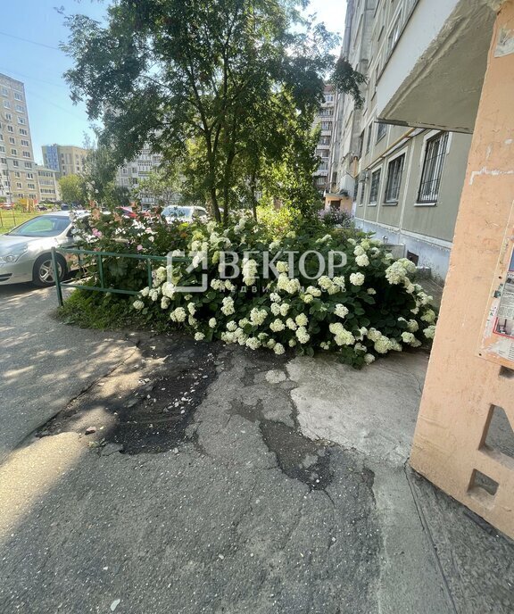 квартира г Кострома ул Сусанина Ивана 25 фото 14