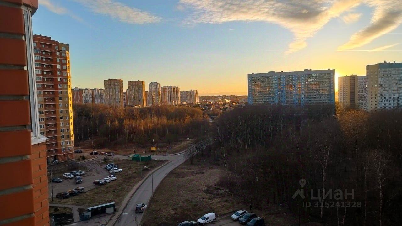квартира г Лобня ул Борисова 24 фото 13