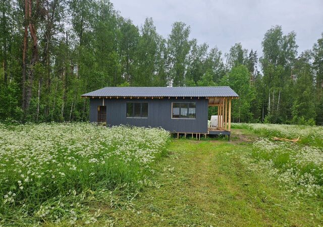 Трасса Сортавала, 70 км, Красноозёрное сельское поселение, Красносельское фото