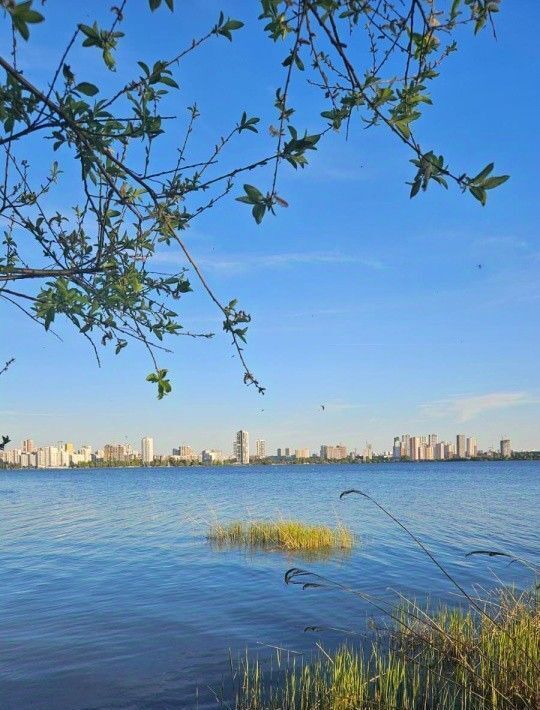 дом г Екатеринбург Уральская ул. Контролеров, 24 фото 6