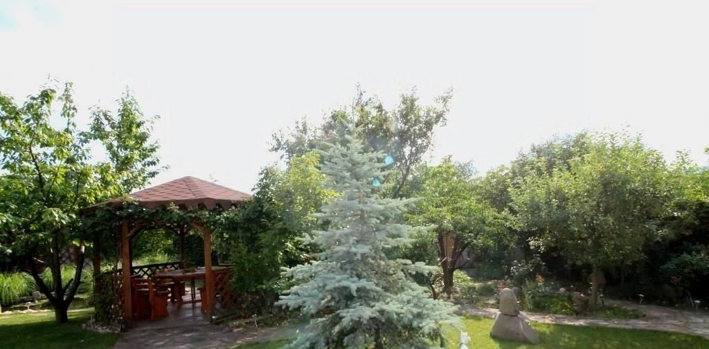 дом г Алушта ул Брусничная 17 фото 6