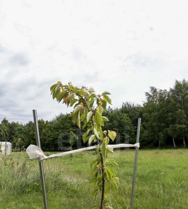 дом р-н Зеленоградский г Зеленоградск ул Каштановая 1б пос. Прислово фото 17