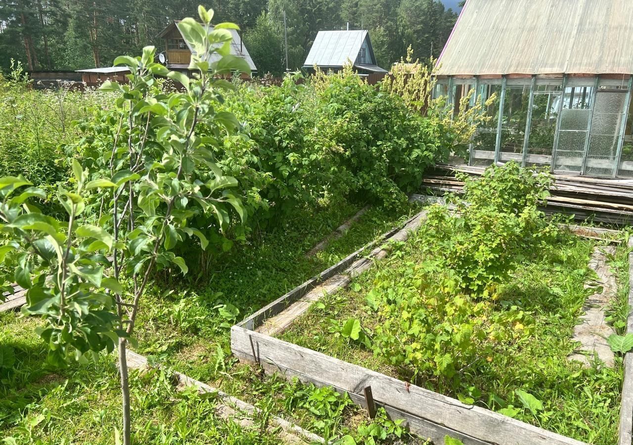 дом г Краснотурьинск СТ № 15 БАЗ филиал ОАО СУАЛ, Клубничная ул фото 12