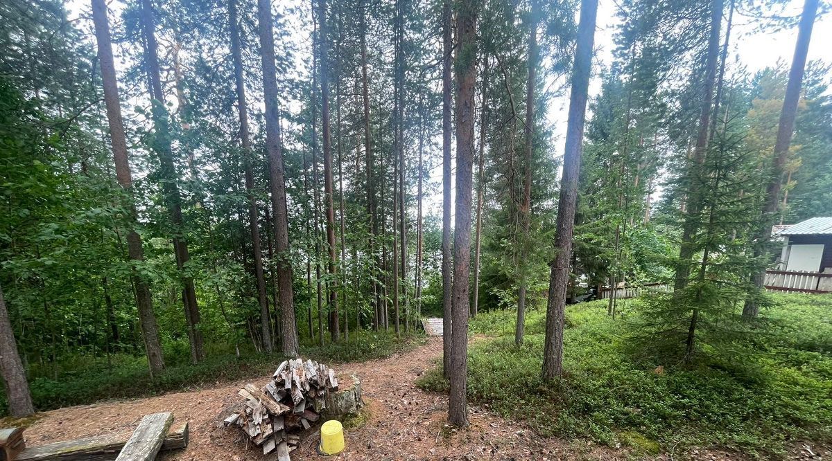 дом г Костомукша снт Кимасозеро Костомукшский городской округ фото 11