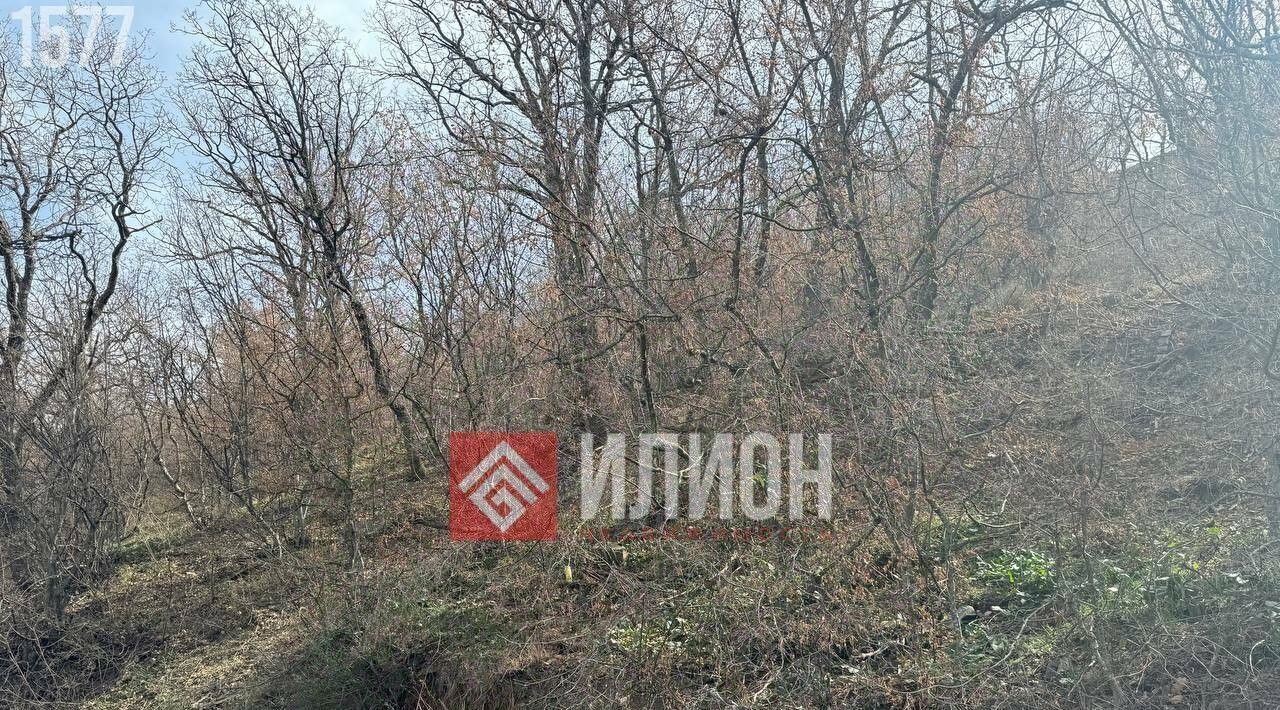 земля г Алушта с Рыбачье ул Центральная фото 4