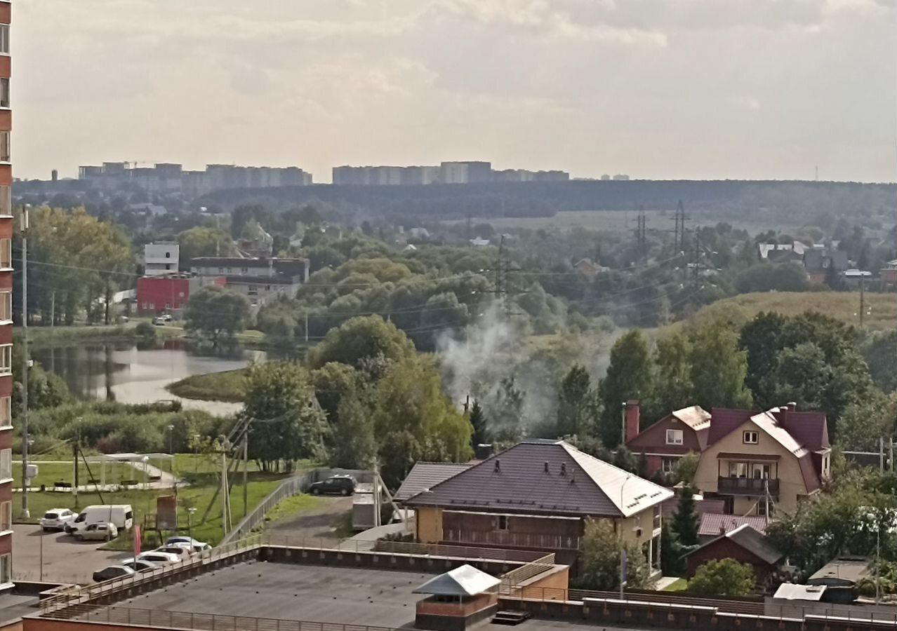 квартира г Домодедово д Щербинка Щербинка, Новомосковский административный округ, ул. Барышевская Роща, 12, Москва, р-н Щербинка фото 5