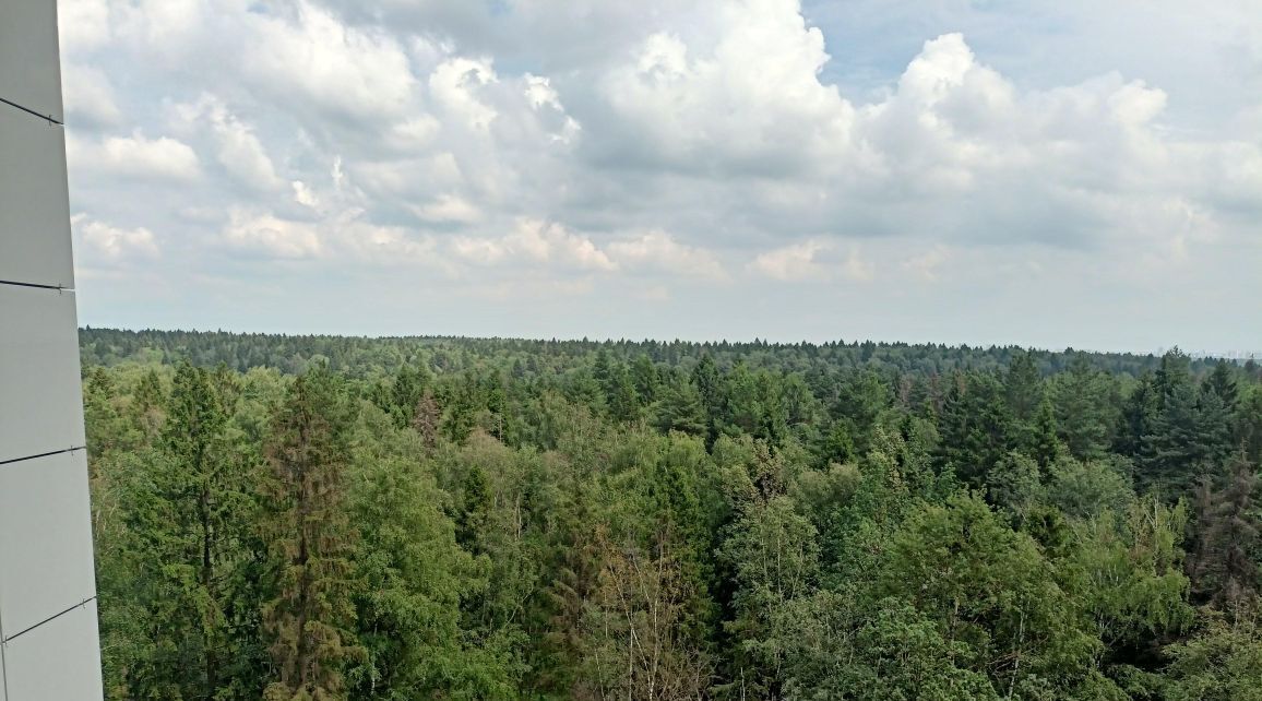 квартира г Красногорск ул Игоря Мерлушкина 10 Митино фото 11