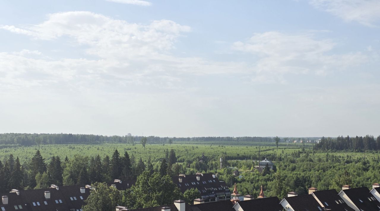 квартира г Химки мкр Сходня ул Микояна 3а Сходня фото 15