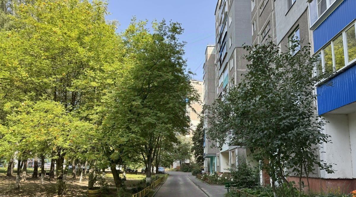 квартира г Курск р-н Центральный ул Косухина 13 фото 24
