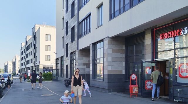метро Проспект Ветеранов пр-кт Ветеранов 200 округ Сосновая Поляна фото