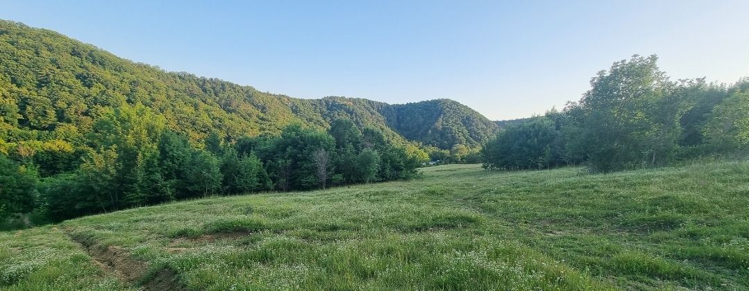 земля г Геленджик с Тешебс с Архипо-Осиповка фото 1