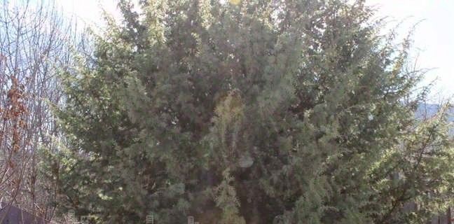 дом г Новороссийск снт Рыбак ул Змейка фото 12