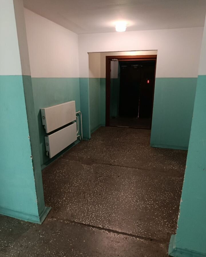 квартира г Красноярск р-н Ленинский пр-кт Машиностроителей 11а ЖК «Даурский» фото 2