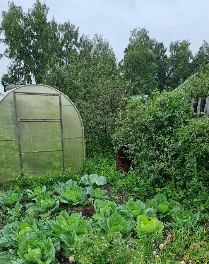 дом г Красноярск р-н Октябрьский снт Березка ул Садовая 12а фото 7