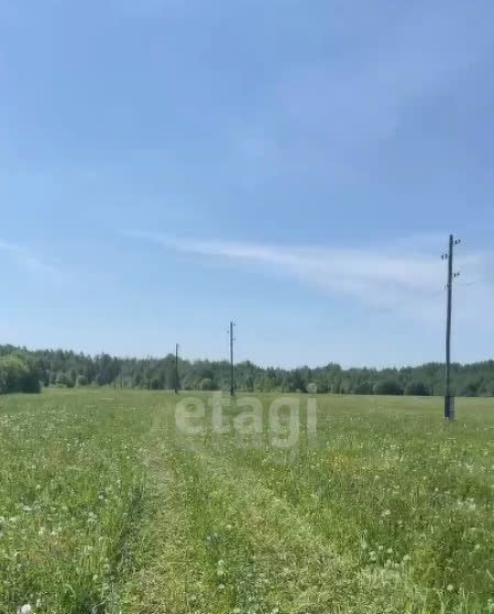 земля г Краснокамск п Ласьва фото 1
