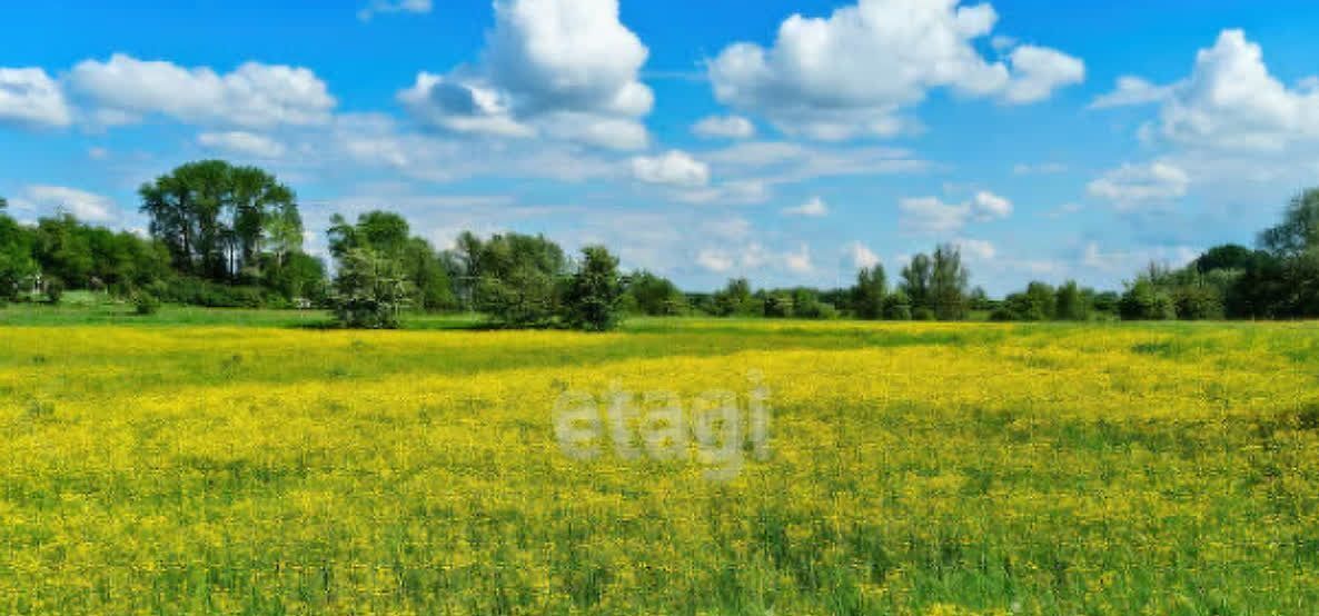 земля г Краснокамск п Ласьва фото 3