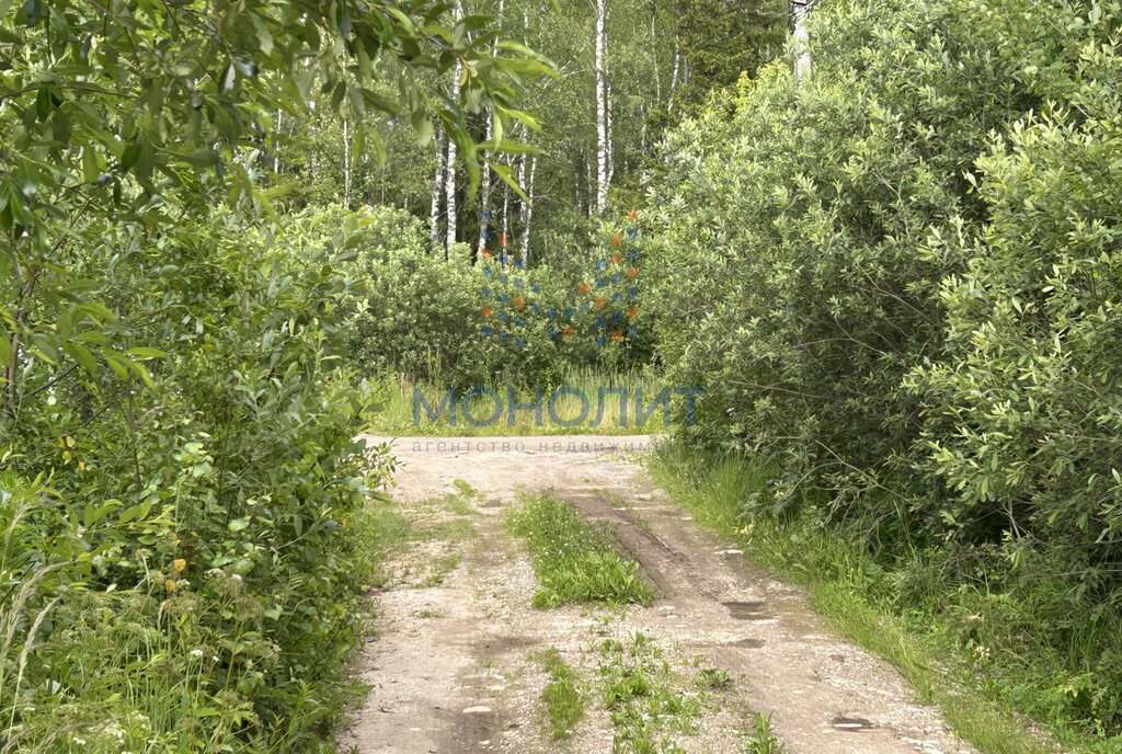 земля г Солнечногорск снт Исток-С фото 4